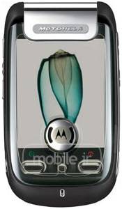 Motorola A1200 موتورولا