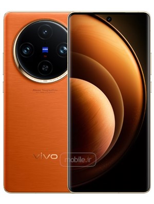 Vivo X100 Pro