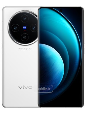 Vivo X100