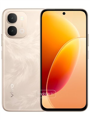 Vivo Y6