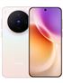 Vivo X300