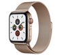 Apple Watch Series 5 اپل