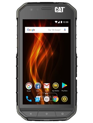 Cat S31