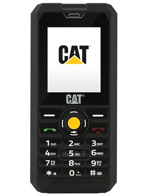 Cat B30