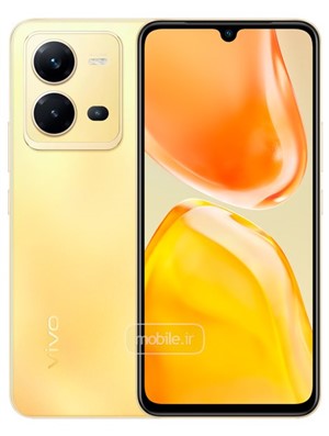 Vivo V25e