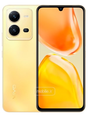 Vivo X80 Lite
