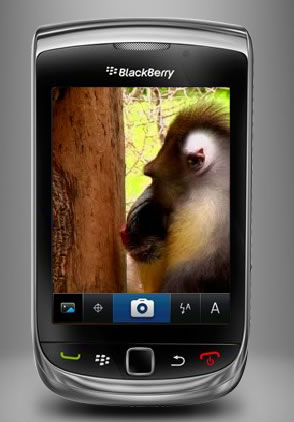 BlackBerry Torch 9800 Camera