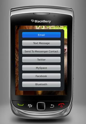 BlackBerry Torch 9800 Upload