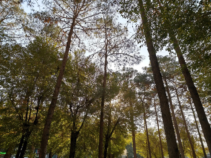 Xiaomi 17 Pro Max - شیائومی ۱۷ پرو مکس