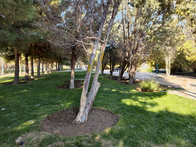 vivo X300 Pro -  ویوو ایکس ۳۰۰ پرو