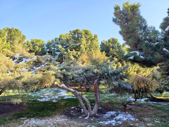 vivo X300 Pro -  ویوو ایکس ۳۰۰ پرو