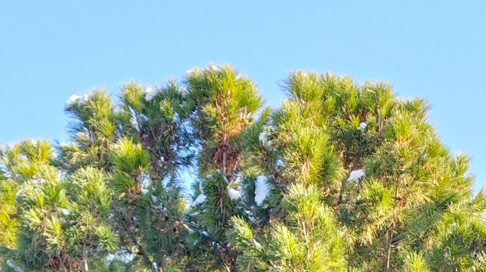 vivo X300 Pro -  ویوو ایکس ۳۰۰ پرو