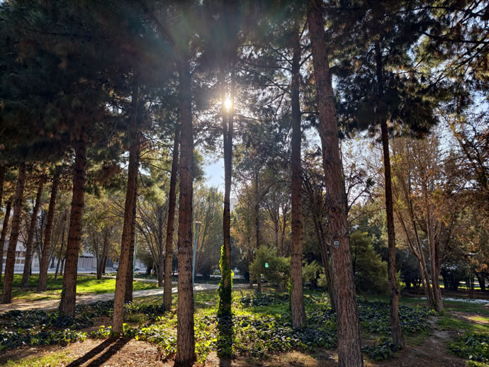 vivo X300 Pro -  ویوو ایکس ۳۰۰ پرو