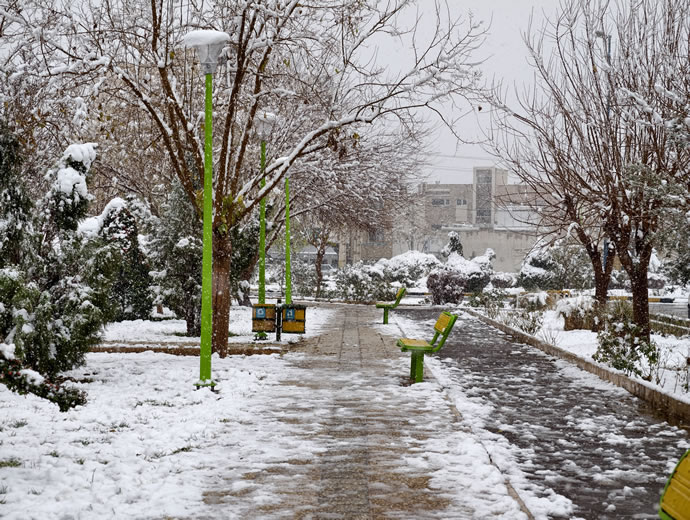 vivo X300 Pro -  ویوو ایکس ۳۰۰ پرو