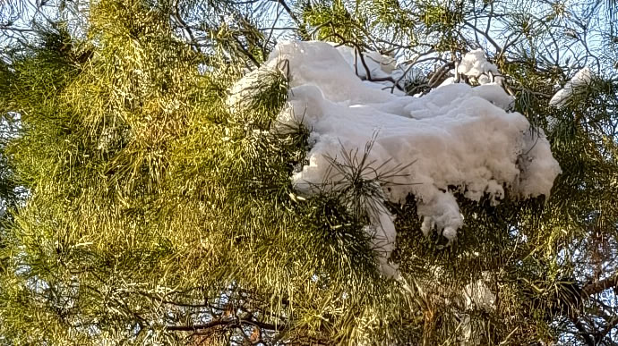 vivo X300 Pro -  ویوو ایکس ۳۰۰ پرو