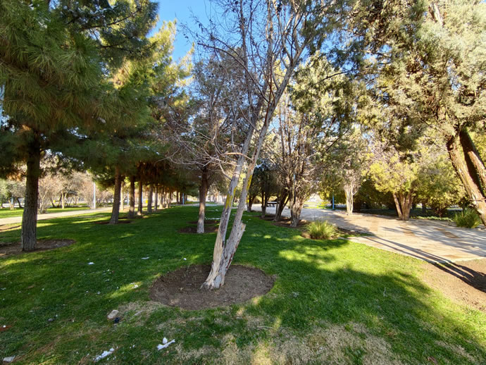 vivo X300 Pro -  ویوو ایکس ۳۰۰ پرو