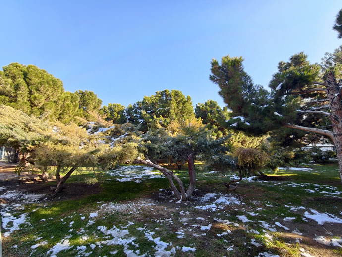 vivo X300 Pro -  ویوو ایکس ۳۰۰ پرو