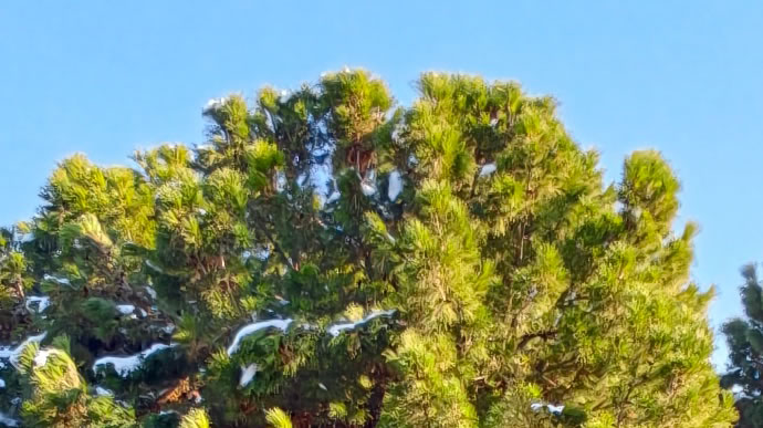 vivo X300 Pro -  ویوو ایکس ۳۰۰ پرو