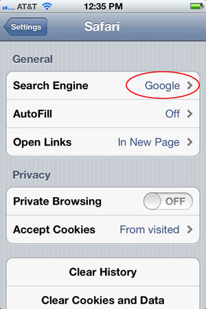 iPhone Search Engine Settings