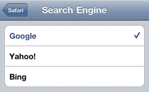 iPhone Search Engine Settings